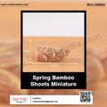 my store MINIATURE Spring Bamboo Shoots