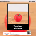my store MINIATURE Tomatoes
