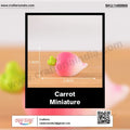 my store MINIATURE Carrot