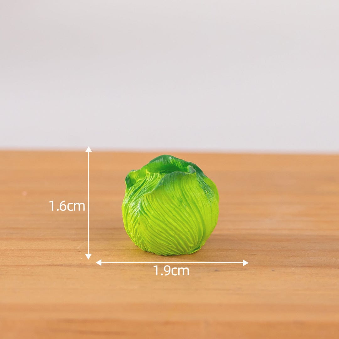 my store MINIATURE Cabbage