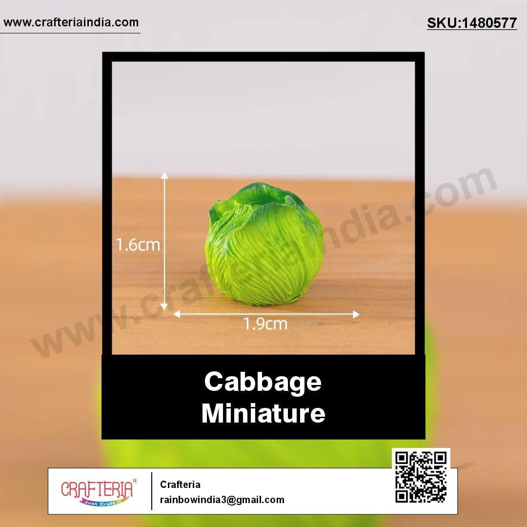 my store MINIATURE Cabbage