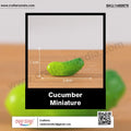 my store MINIATURE Cucumber