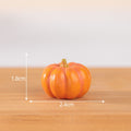 my store MINIATURE Pumpkin