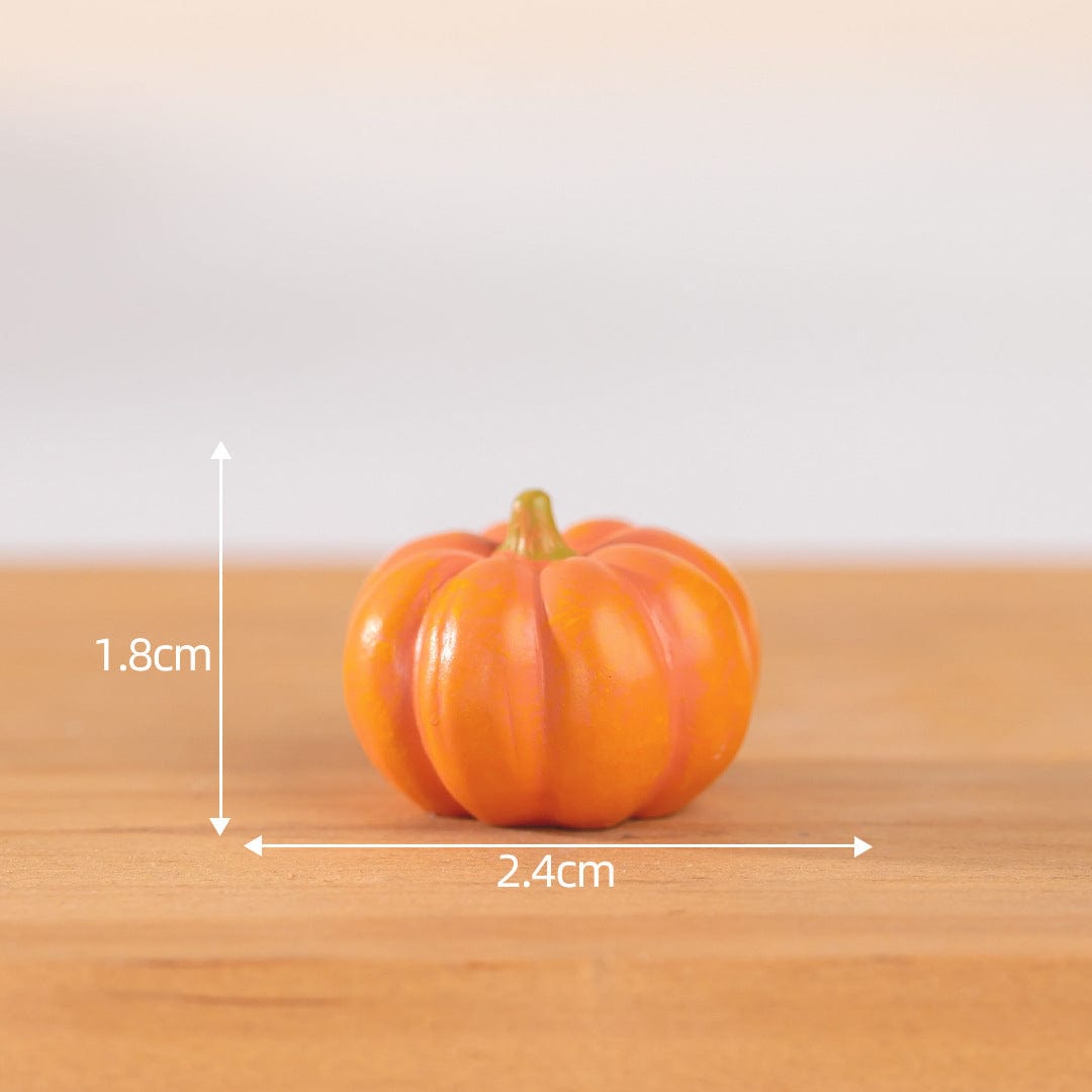 my store MINIATURE Pumpkin