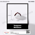 my store MINIATURE Tangyuan