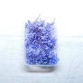 JUST CRAFT IT DRY PRESSED FLOWER Blue Hydrangea Dry Flower