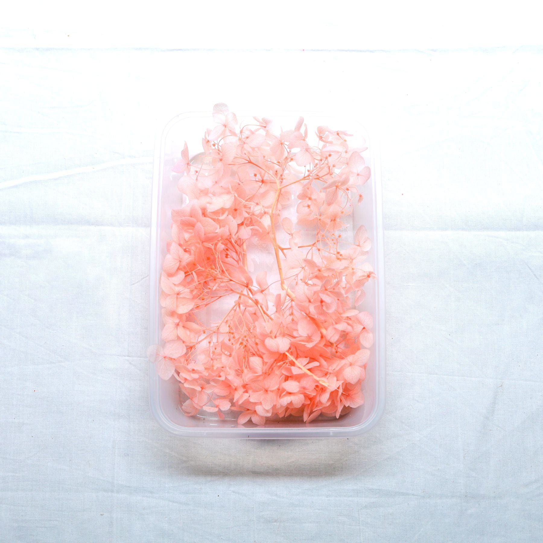 JUST CRAFT IT DRY PRESSED FLOWER Peach Hydrangea Dry Flower