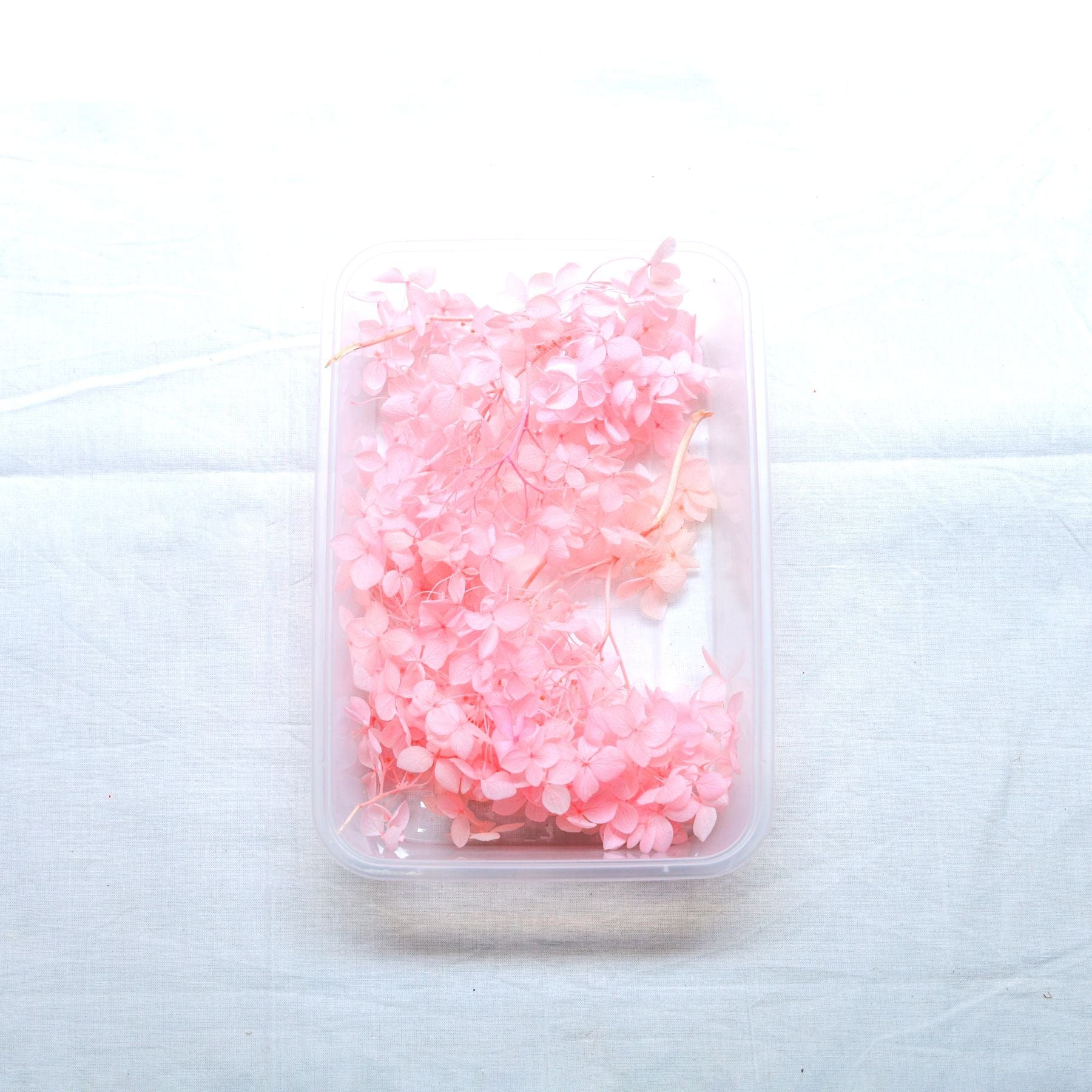 JUST CRAFT IT DRY PRESSED FLOWER Pink Hydrangea Dry Flower