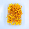 JUST CRAFT IT DRY PRESSED FLOWER Yellow Baby Breath Dry Flower
