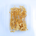 JUST CRAFT IT DRY PRESSED FLOWER Off White Baby Breath Dry Flower