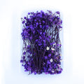 JUST CRAFT IT DRY PRESSED FLOWER Purple Baby Breath Dry Flower