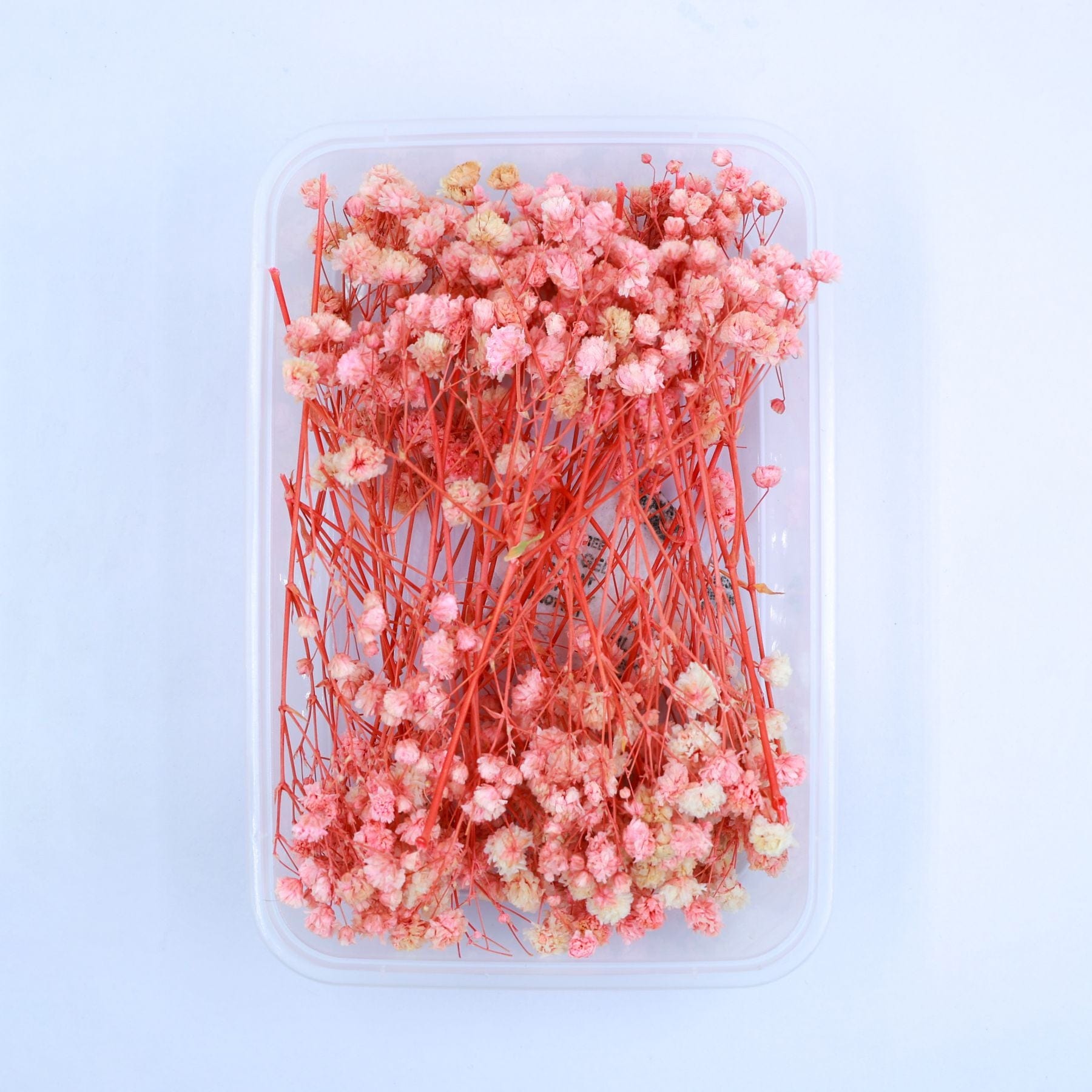 JUST CRAFT IT DRY PRESSED FLOWER Peach Baby Breath Dry Flower