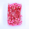 JUST CRAFT IT DRY PRESSED FLOWER Rani Baby Breath Dry Flower