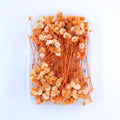 JUST CRAFT IT DRY PRESSED FLOWER Orange Baby Breath Dry Flower