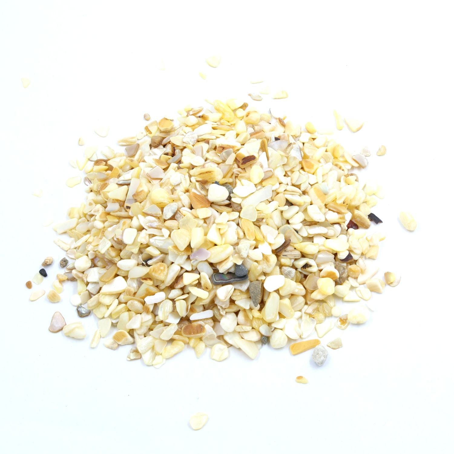 Crafteria Ivory Shell Stone Granules (500gms)