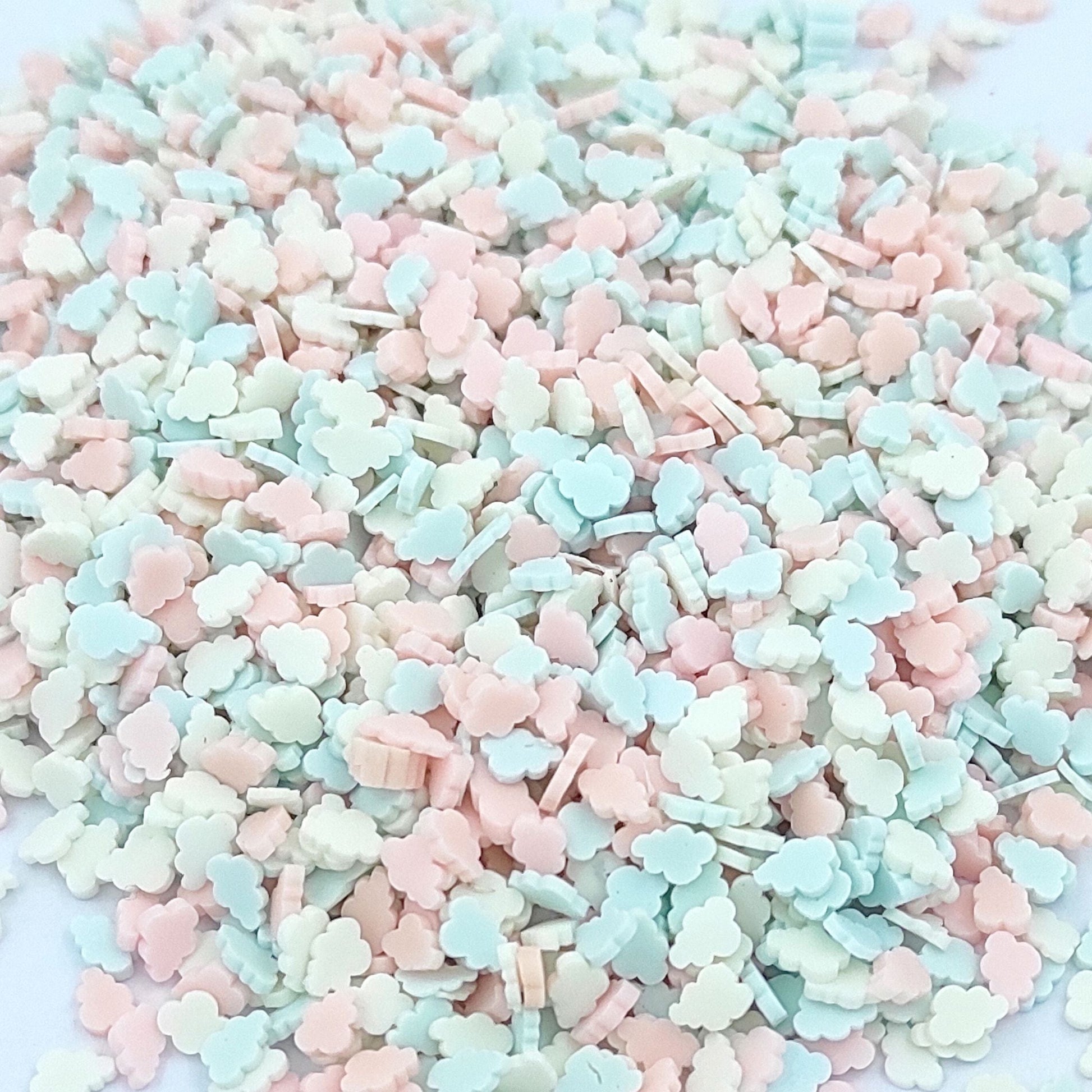 My Store Cloud Shape Polymer Chips