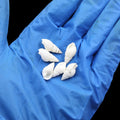 My Store NATURAL SHELL Natural Shell (50Gms) SH020