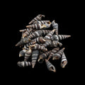 My Store NATURAL SHELL Natural Shell (50Gms) SH022