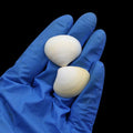 My Store NATURAL SHELL Natural Shell (50Gms) SH027