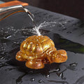 My Store Silicon Mould 3D Tortoise For Vastu Mould